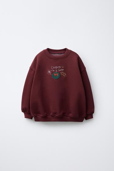 SUDADERA BORDADOS CIUDADES - Burgundy de Zara - Imagen 0
