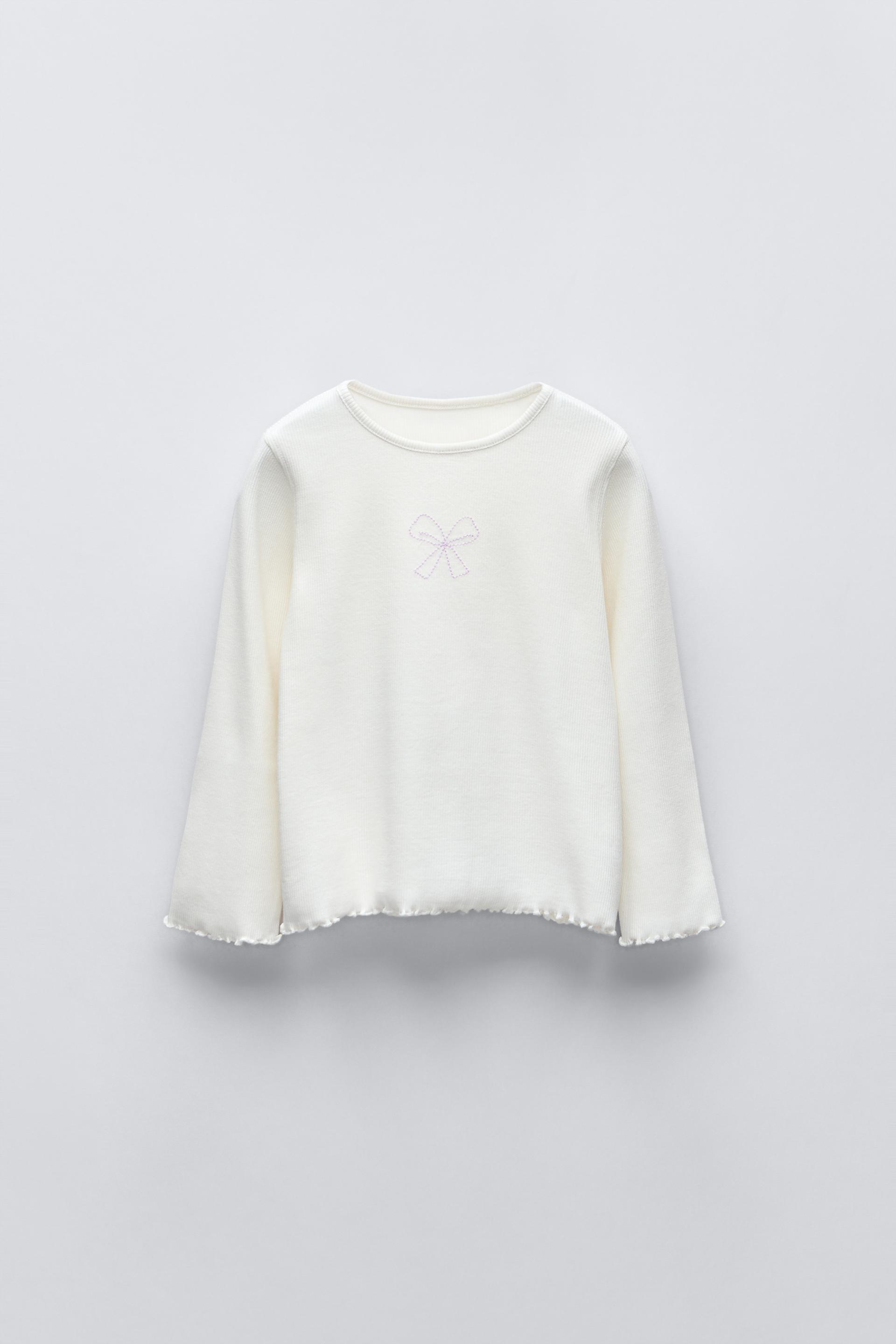 Embroidered sweater zara best sale