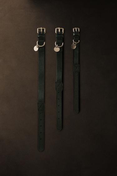 COLLIER UNI ANIMAUX DE COMPAGNIE - Vert de Zara - Image 5