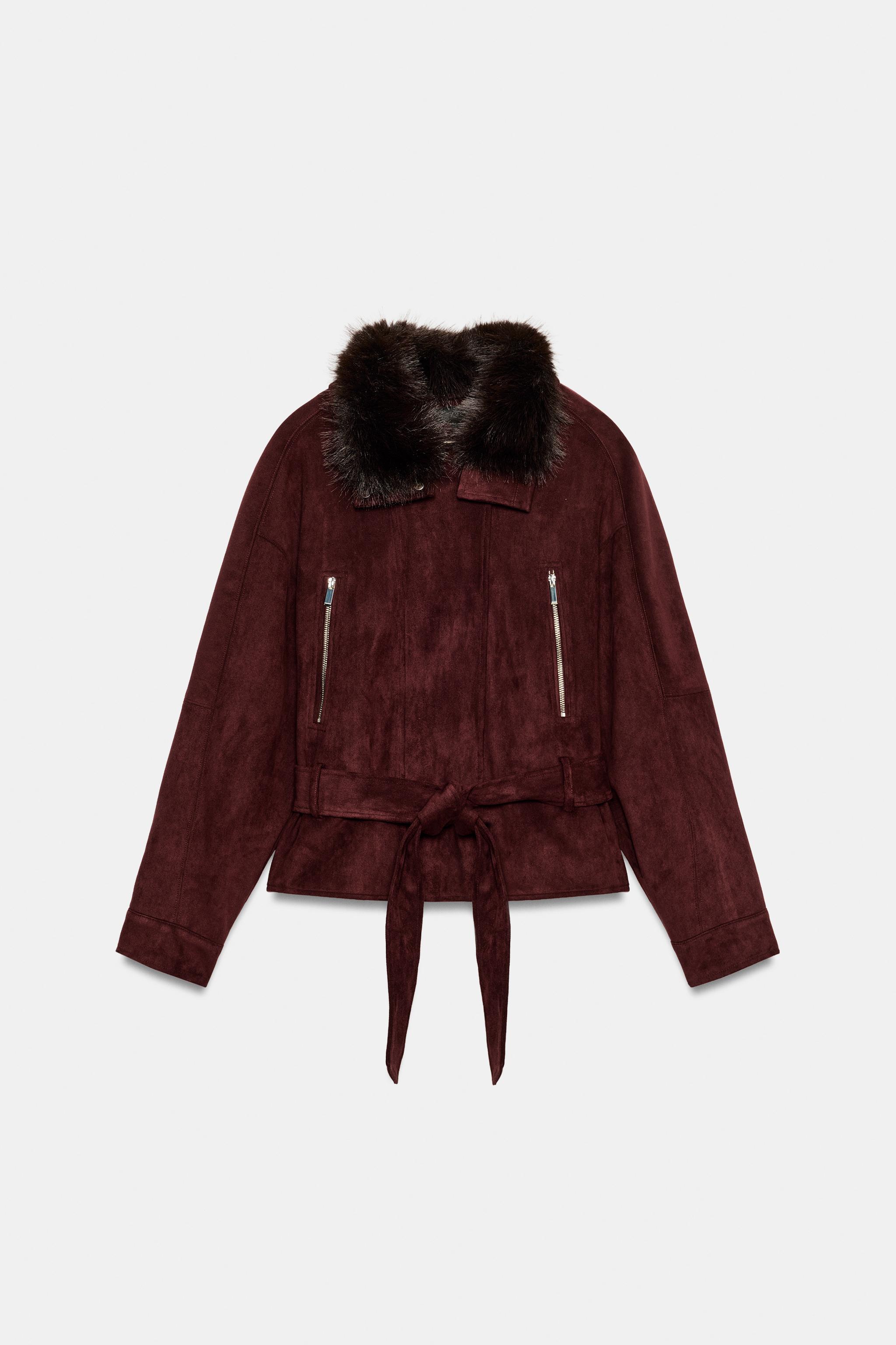 フェイクファーカラー ベルトジャケット - ダークパープル | ZARA