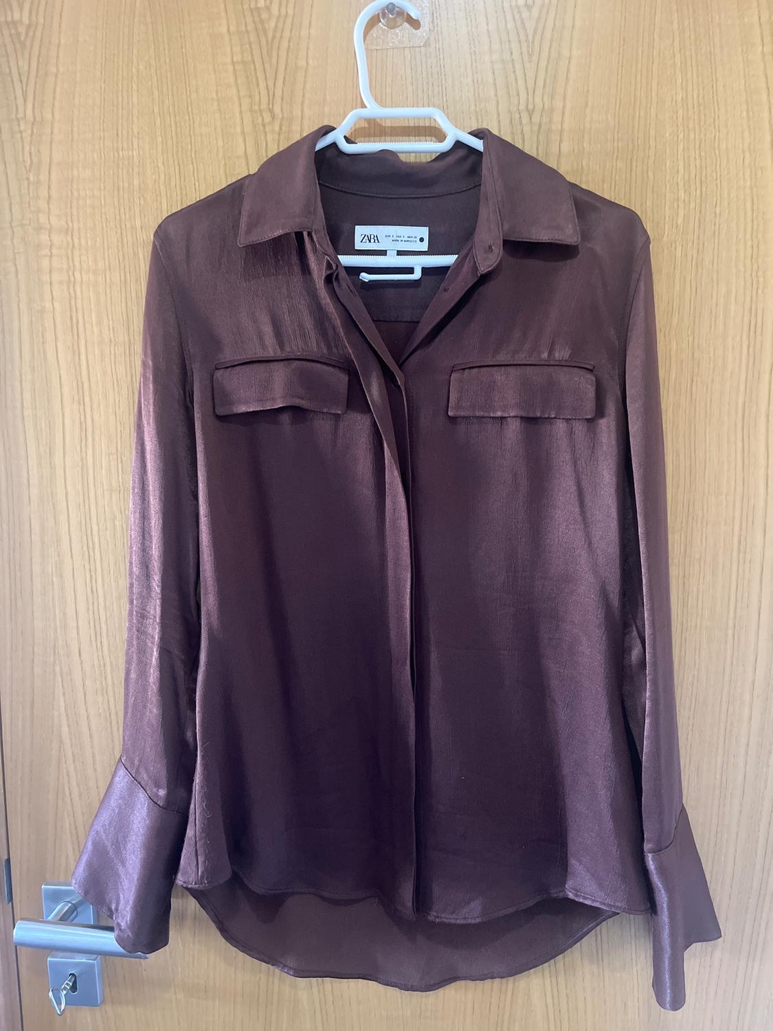 Brown long-sleeved satin shirt hanging on a white hanger over a wooden door. Visible tag: "Zara".