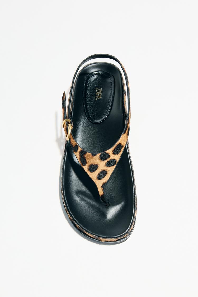 KOEN SANDLY S KOEINOU A ZVECM POTISKEM - Leopard od Zara