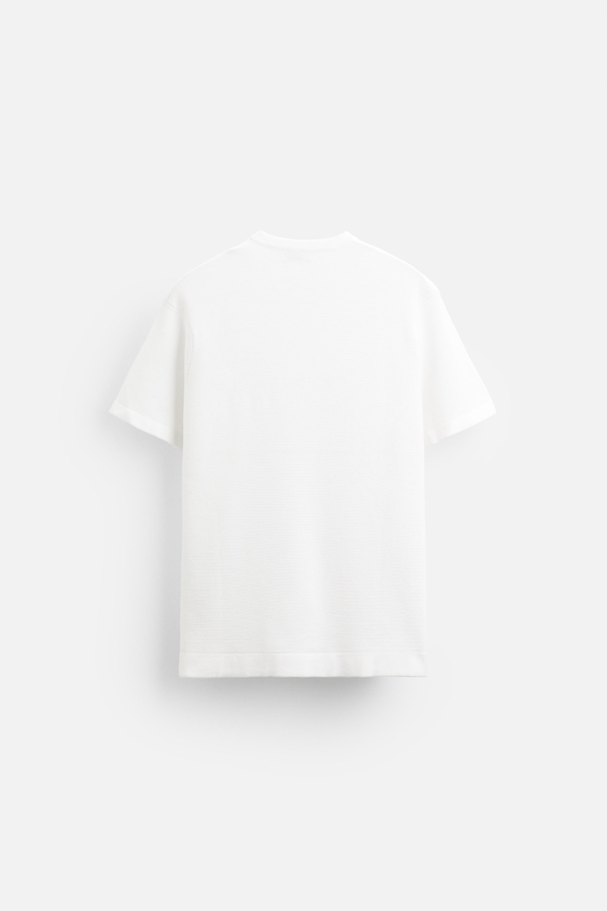 BASIC KNIT T SHIRT Pearl grey ZARA Australia