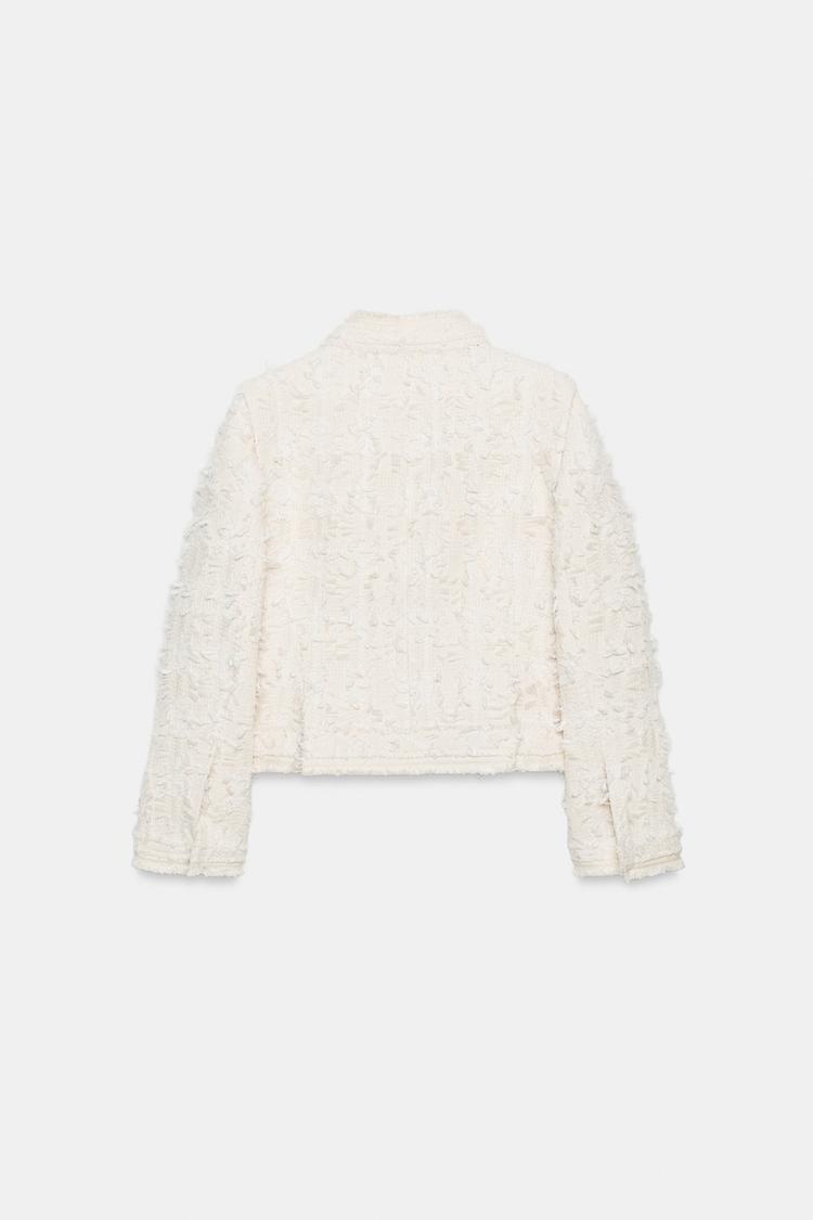Chaqueta de cuello alto colección ZW 6