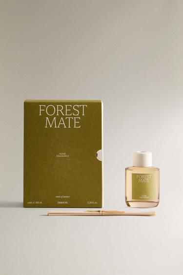 (100 ML) DIFFUSEUR DE PARFUM D’AMBIANCE À BÂTONNETS FOREST MATE - Vert clair de Zara - Image 1