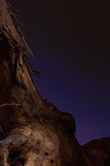 VIOLET BLOSSOM EDP 90 ML / 3.04 oz -  by Zara - Image 3