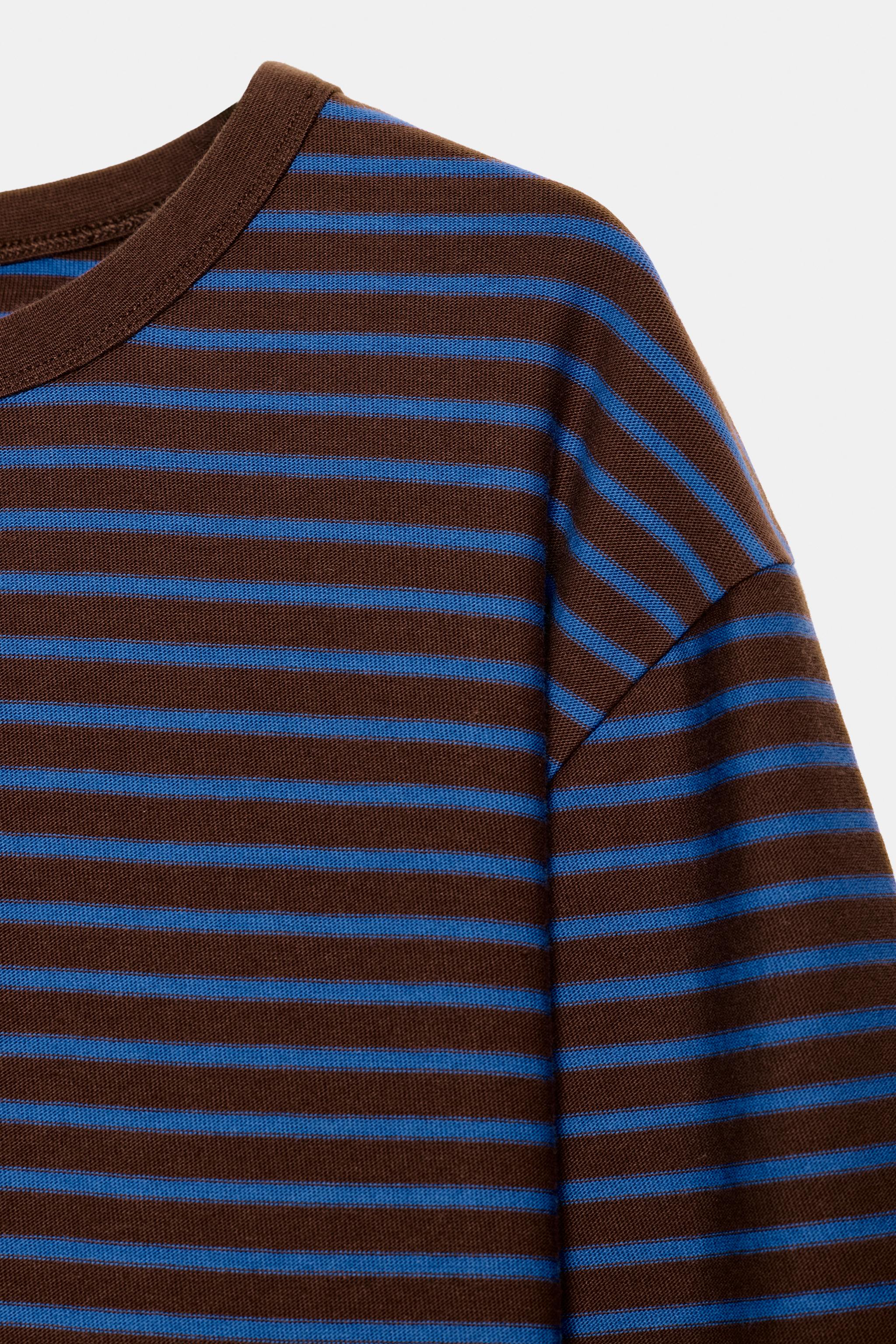ストライプ柄ロングスリーブTシャツ - ストライプ | ZARA Japan / 日本