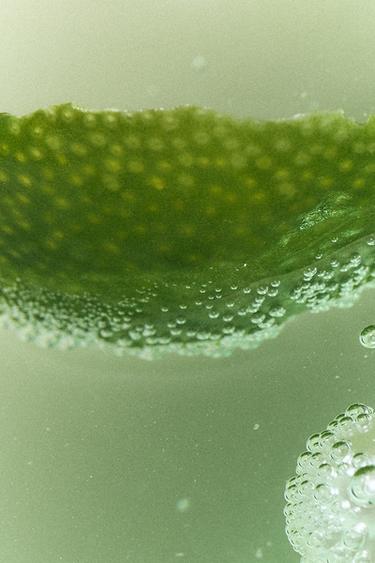 APPLEJUICE SUMMER EDT 90ML (3.04 FL. OZ). -  by Zara - Image 2