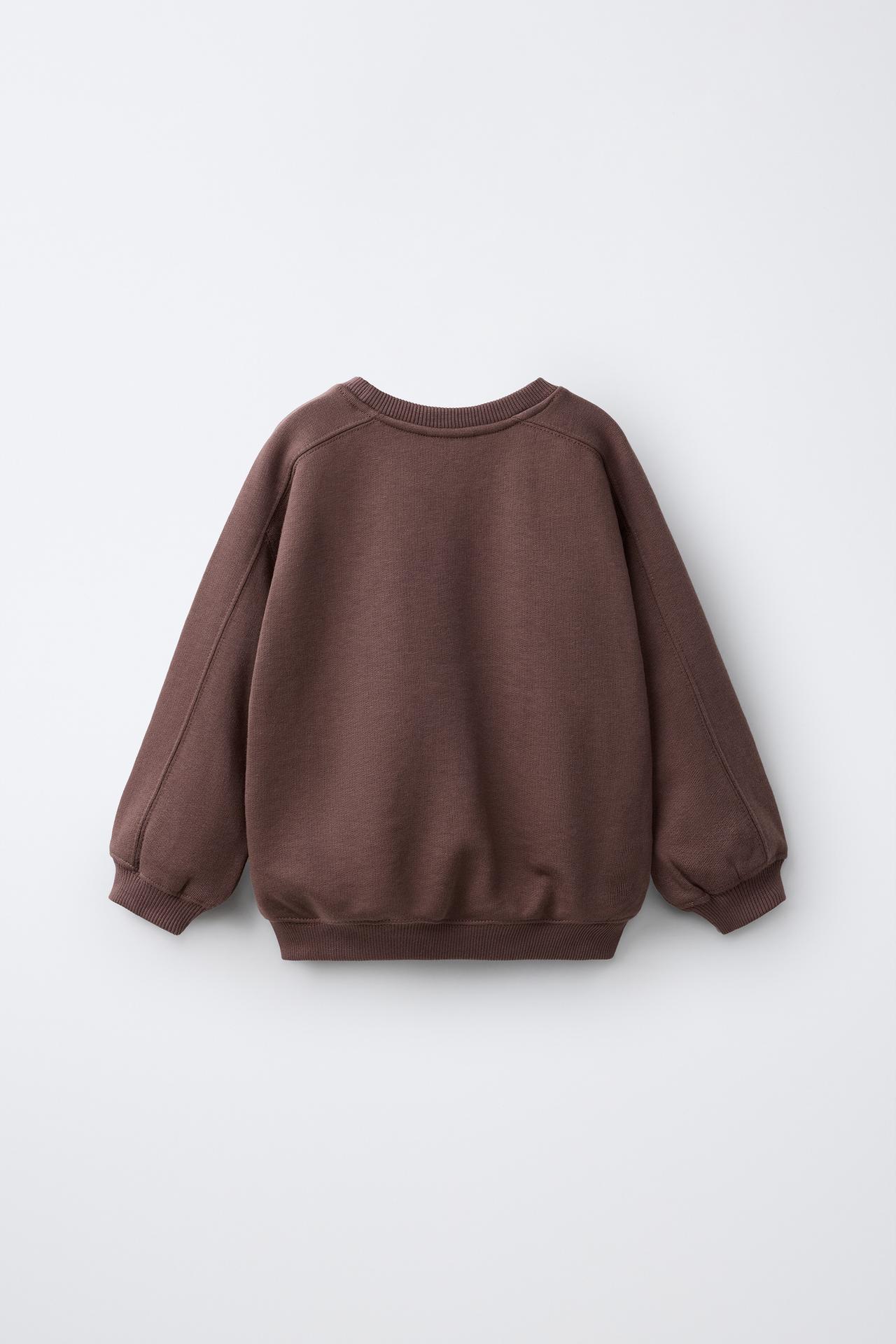 BEAR EMBROIDERED SWEATSHIRT — Dark brown