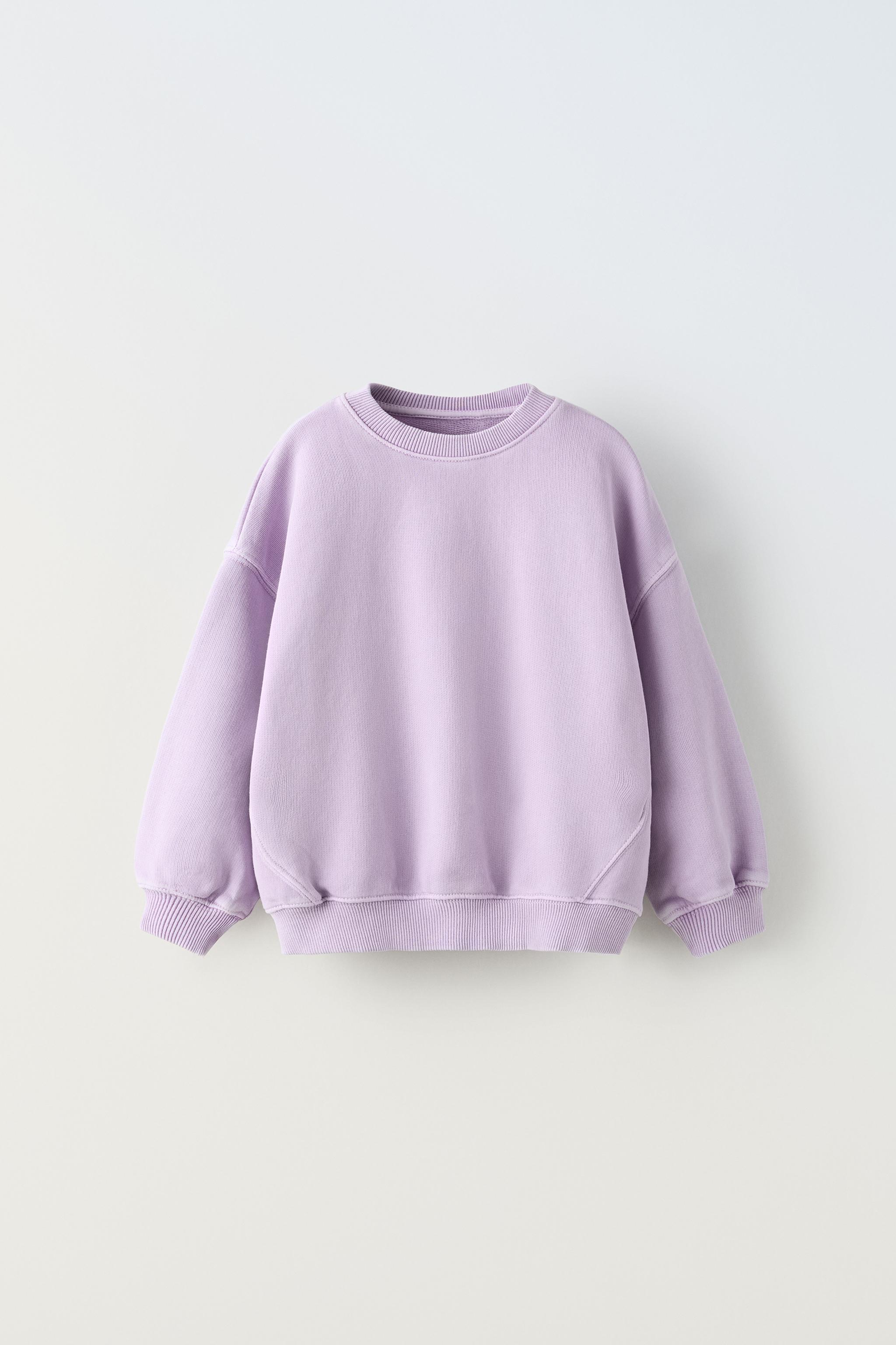 Champion embroidered sweater zara hotsell