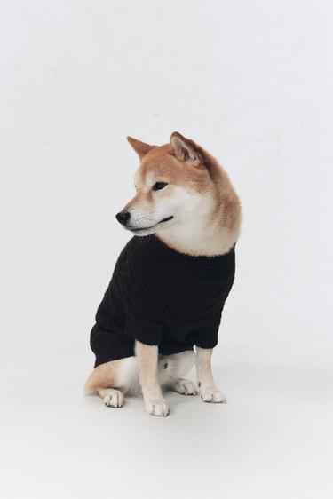 WOOL JUMPER FOR PETS SOSHIOTSUKI x ZARA - Chocolate by Zara - Image 1