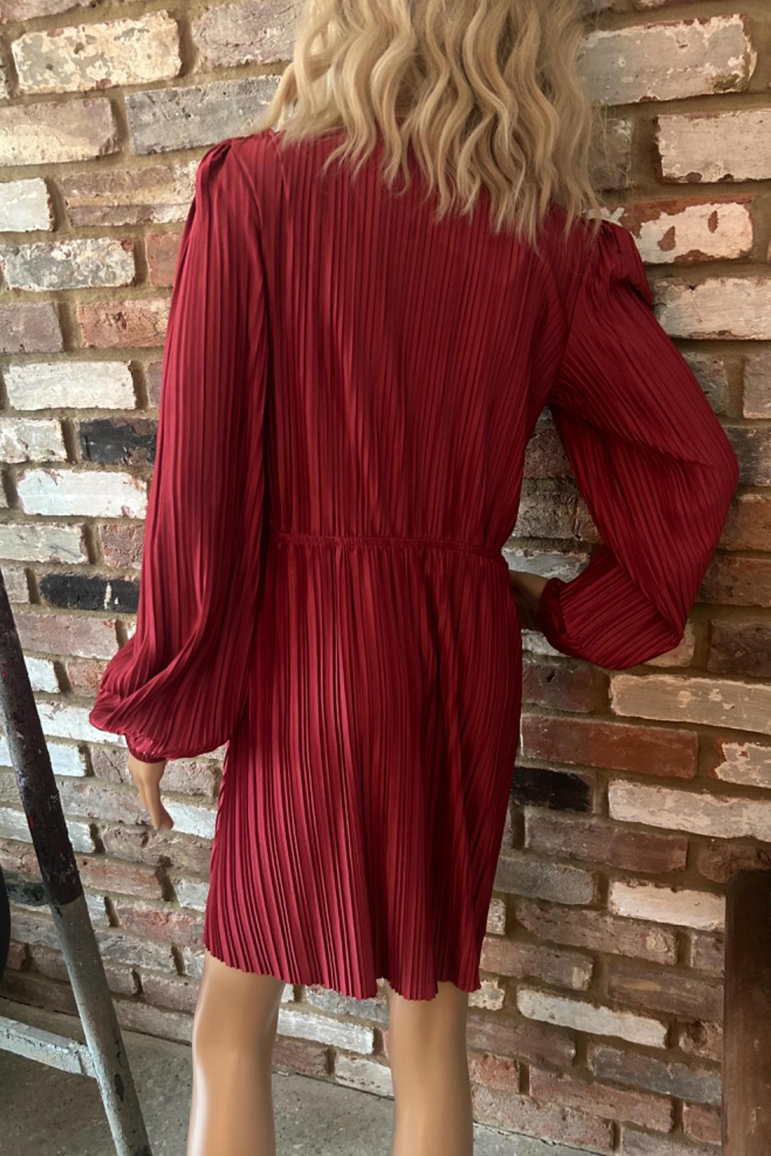 PLEATED DRESS - Image 4