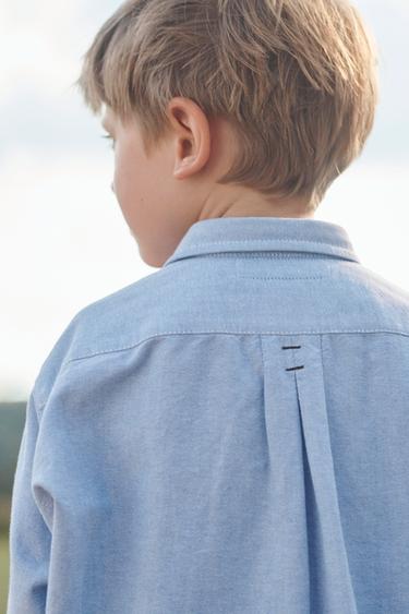CHEMISE OXFORD RENARD BRODÉ ÉDITION LIMITÉE - Bleu clair de Zara - Image 4