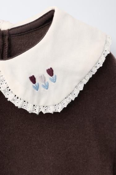 EMBROIDERED SOFT TOUCH PETER PAN COLLAR T-SHIRT - Chocolate by Zara - Image 2