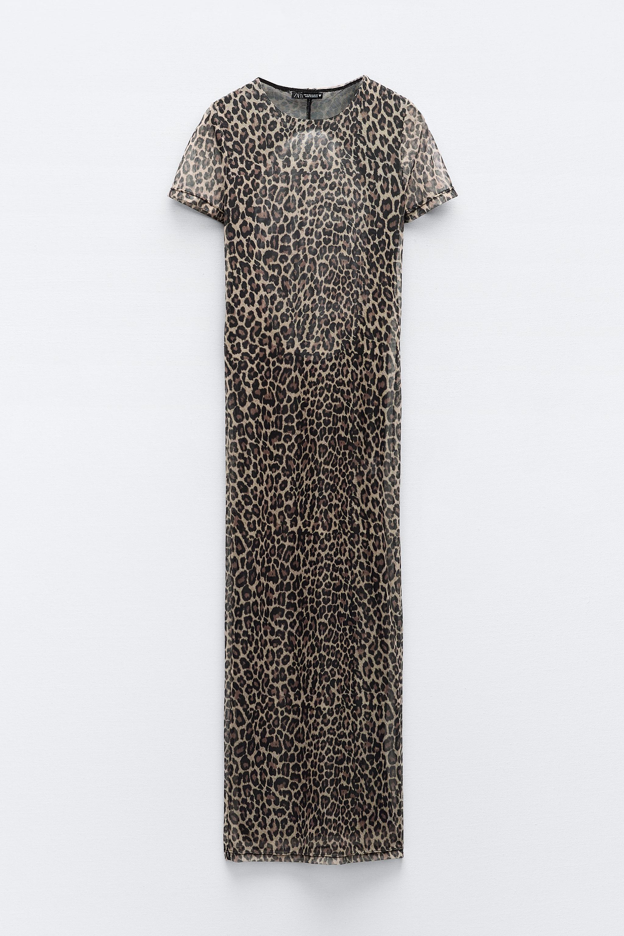 Zara 2024 leo dress