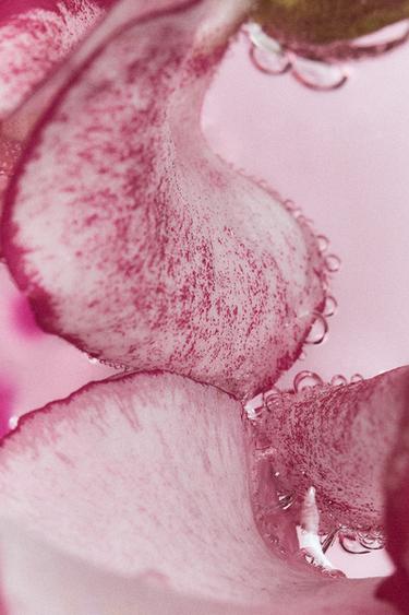 TUBEROSE SUMMER EDT 90ML -  de Zara - Image 2