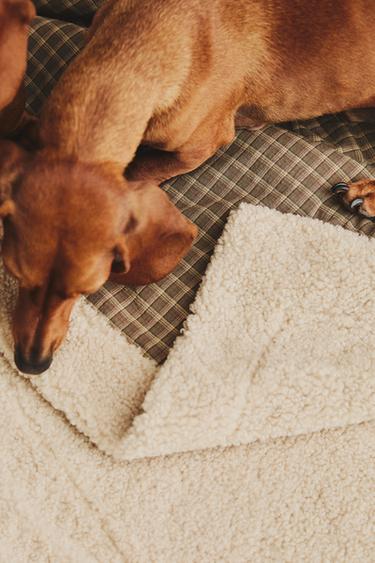 ΚΟΥΒΕΡΤΑ ΜΕ ΤΕΤΡΑΓΩΝΑΚΙΑ ΓΙΑ ΚΑΤΟΙΚΙΔΙΑ - Πράσινο του Zara