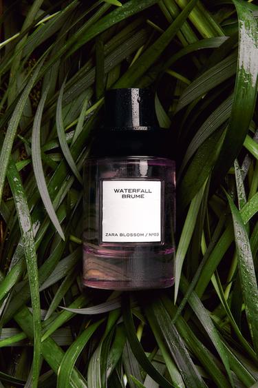WATERFALL BRUME EDP 100ML (3.4 FL.OZ). -  by Zara - Image 0