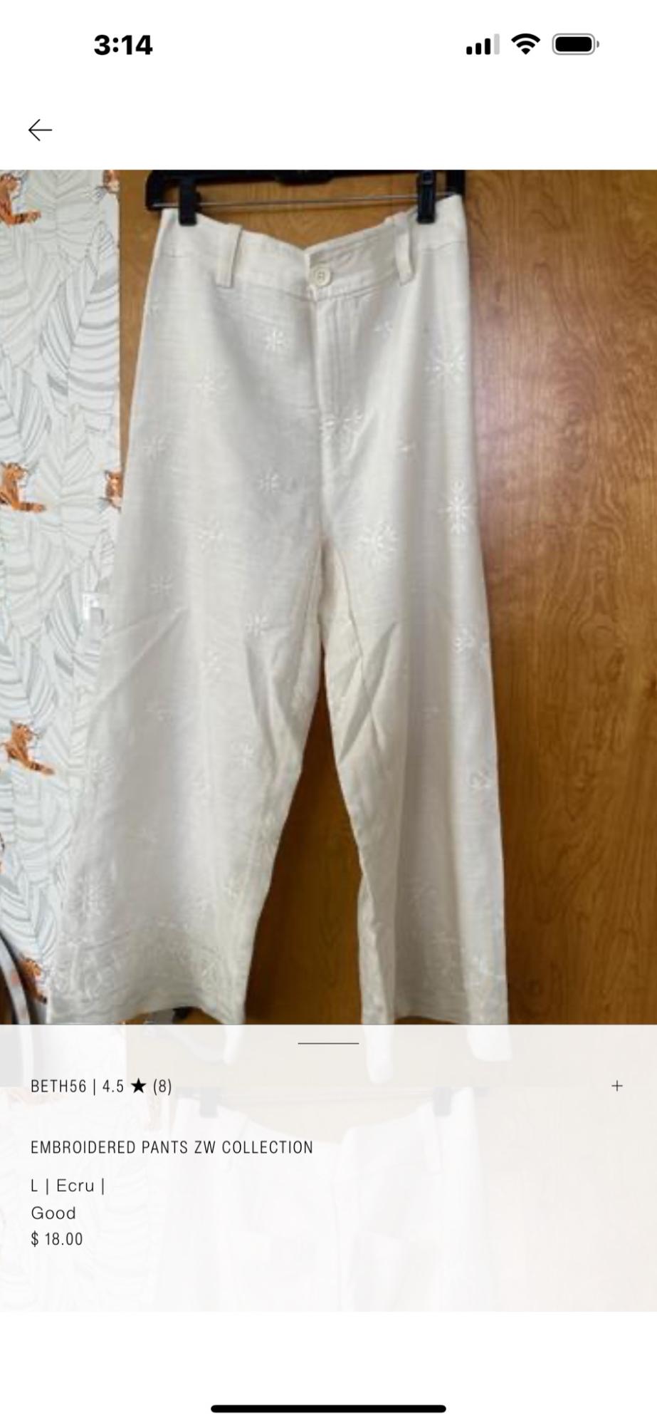 Ecru embroidered wide-leg trousers hanging on a door. 3:14 BETH56 | 4.5 (8) EMBROIDERED PANTS ZW COLLECTION L | Ecru | Good $ 18.00