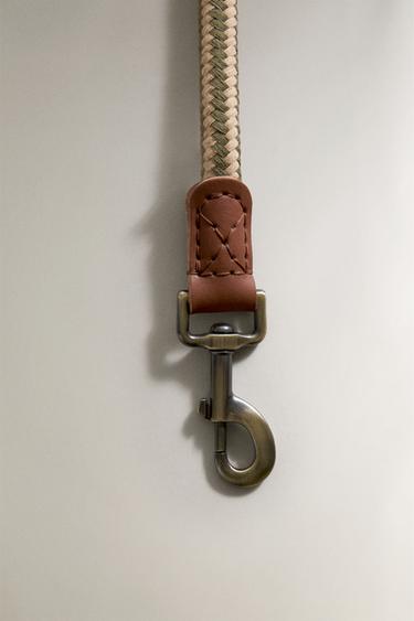 LAISSE EN CUIR POUR CHIENS - Vert de Zara - Image 1