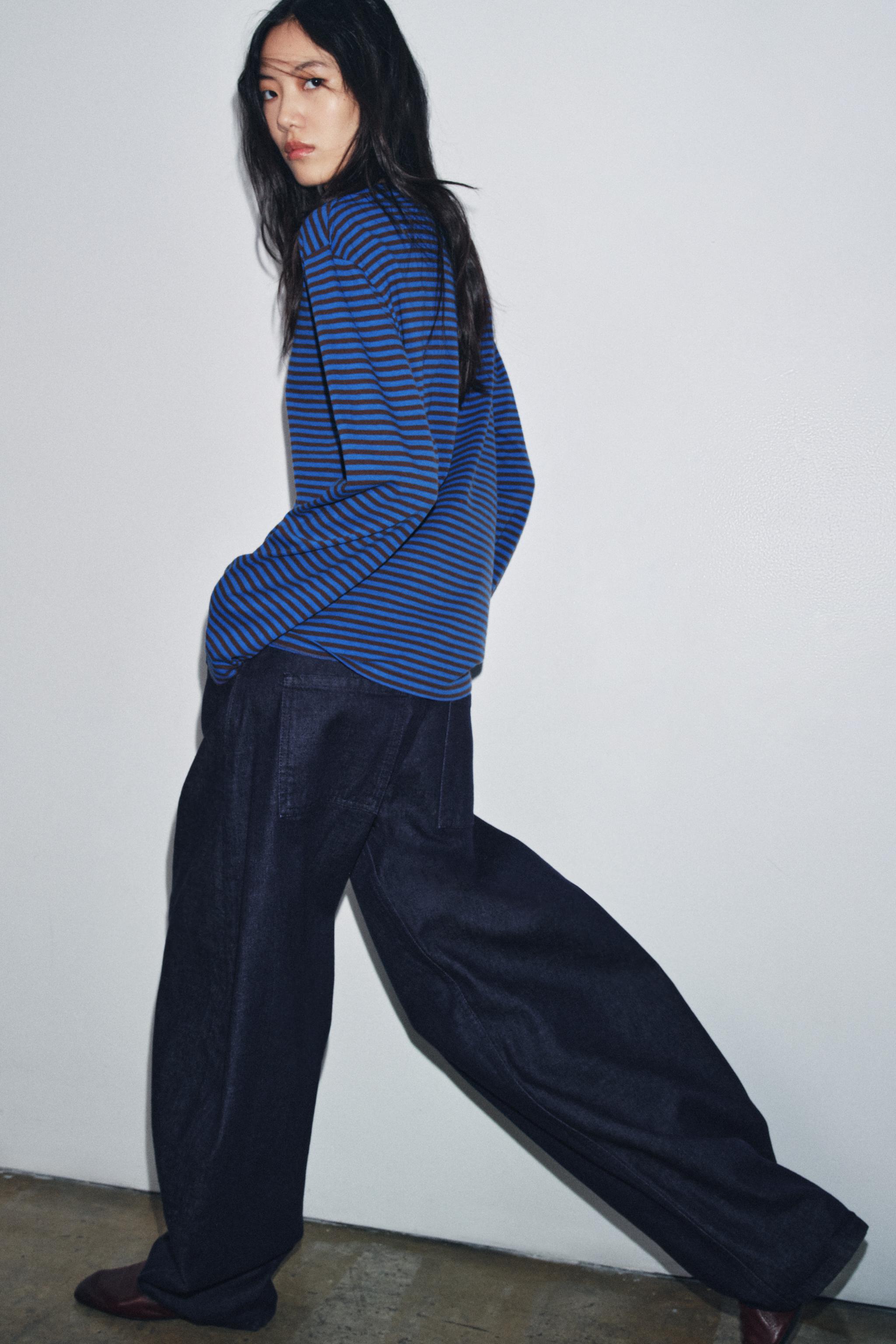ストライプ ロングスリーブTシャツ - ストライプ | ZARA Japan
