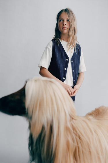 Zara PINSTRIPE VEST - Blue