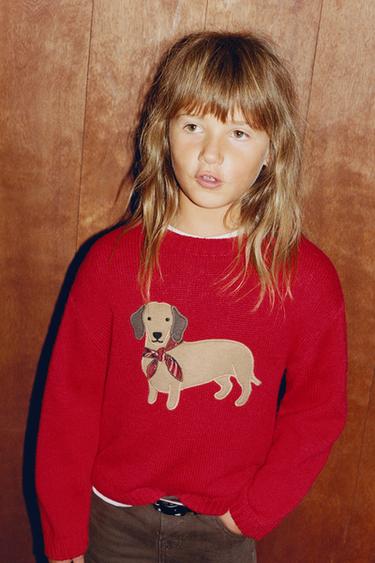 WOOL BLEND DOG KNIT JUMPER - Red by Zara