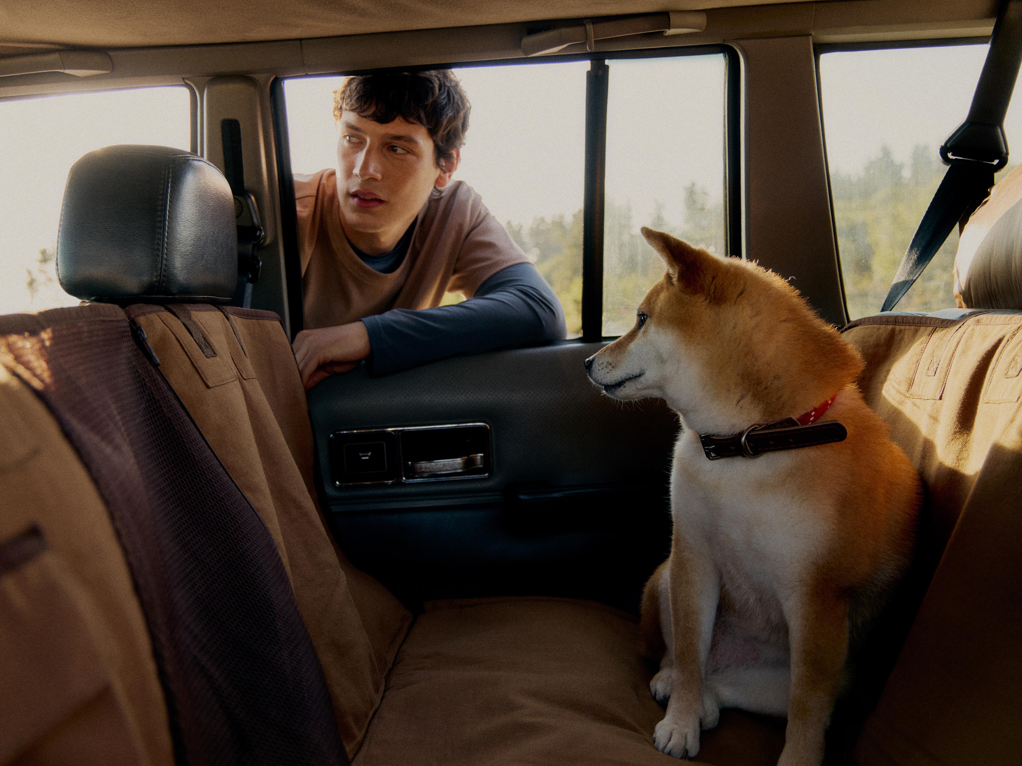 PET CAR BLANKET — Brown