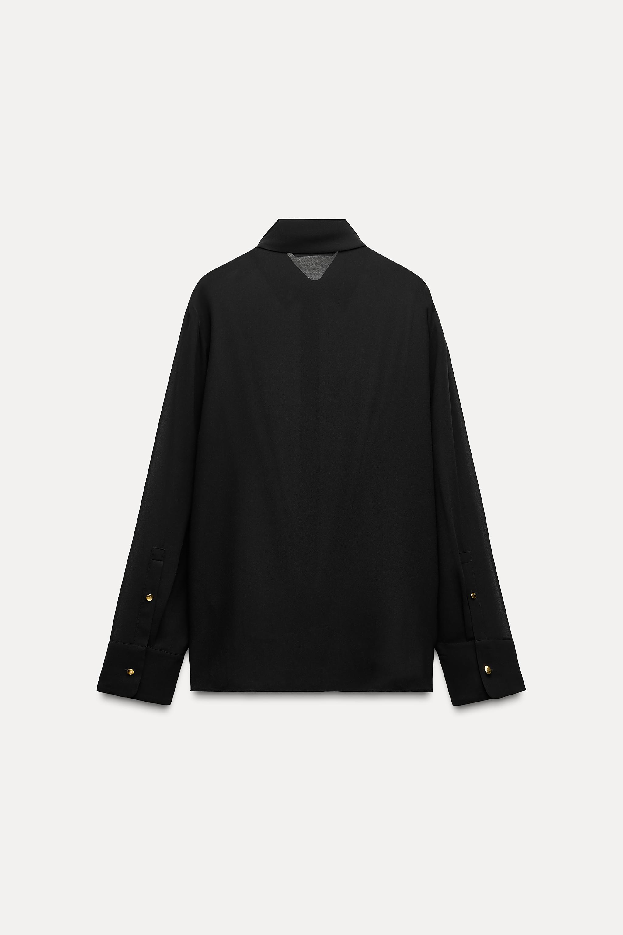 sheer shirt zara