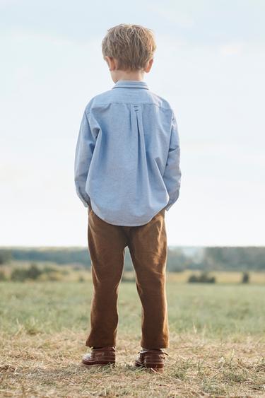 CHEMISE OXFORD RENARD BRODÉ ÉDITION LIMITÉE - Bleu clair de Zara - Image 3