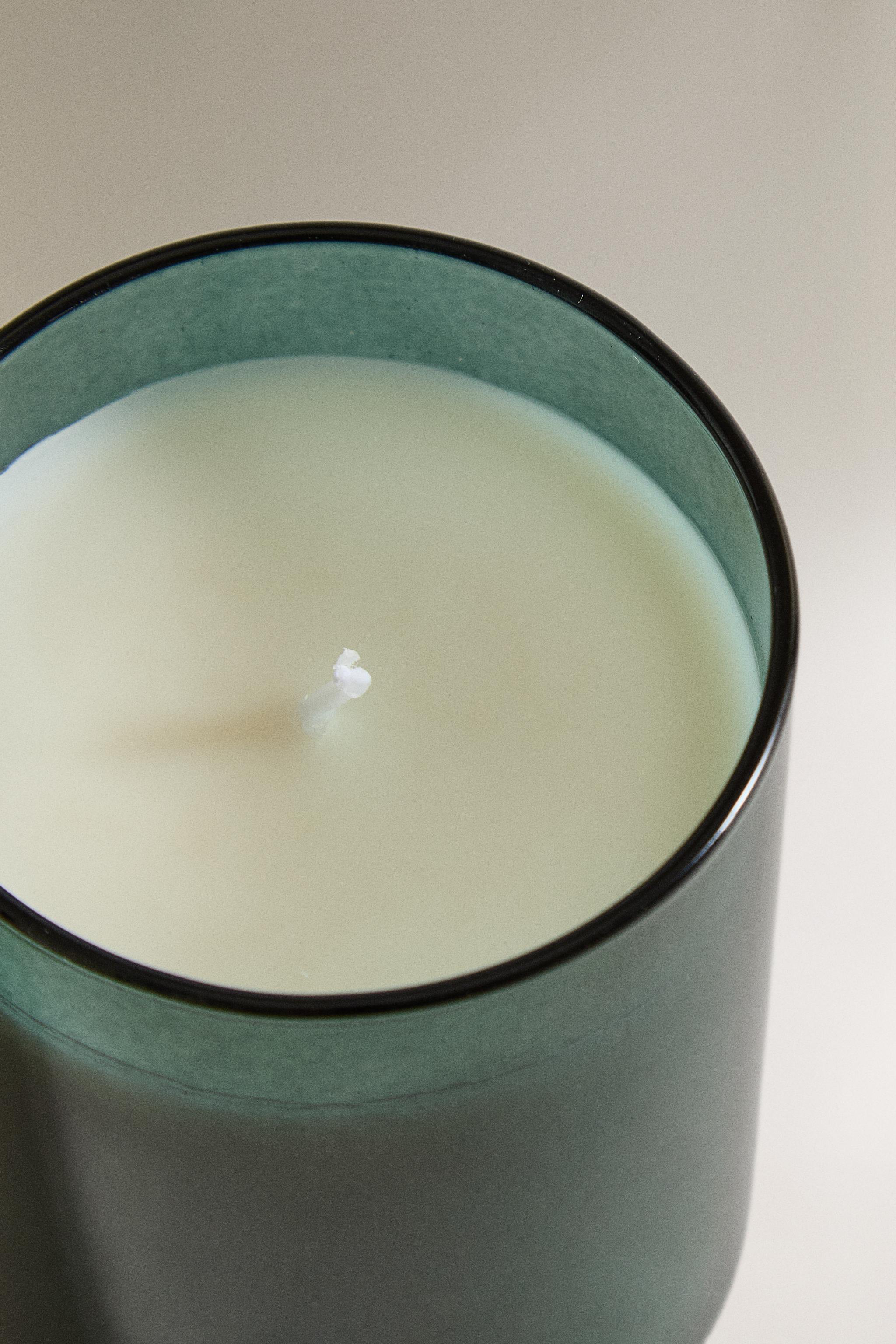 (220 G) WINTER CYPRESS BOROSILICATE GLASS SCENTED CANDLE