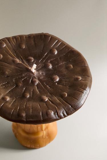 LARGE DARK PUMPKIN SPICE SCENTED MUSHROOM CANDLE - Pumpkin by Zara - Image 1