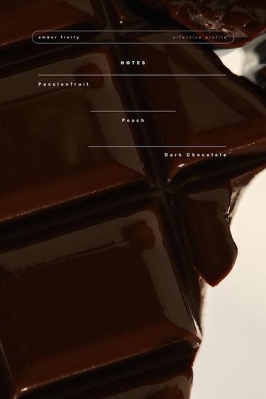 Zara COCOA BLISS EDP 100ML (3.4 FL. OZ) -  - Image 0