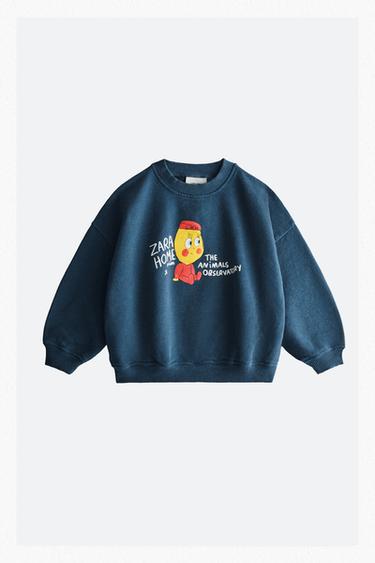 SUDADERA INFANTIL LIMONCELLA X THE ANIMALS OBSERVATORY - Azul de Zara