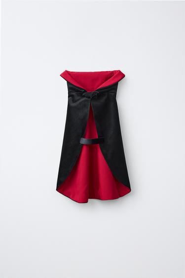 Zara PUMPKIN PET COSTUME - Burgundy