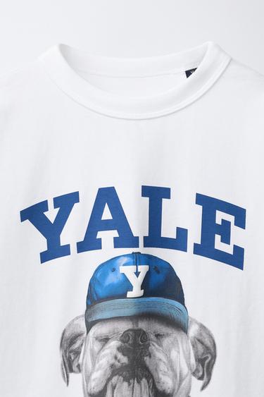 T-SHIRT CHIEN YALE UNIVERSITY™ - Blanc de Zara - Image 2