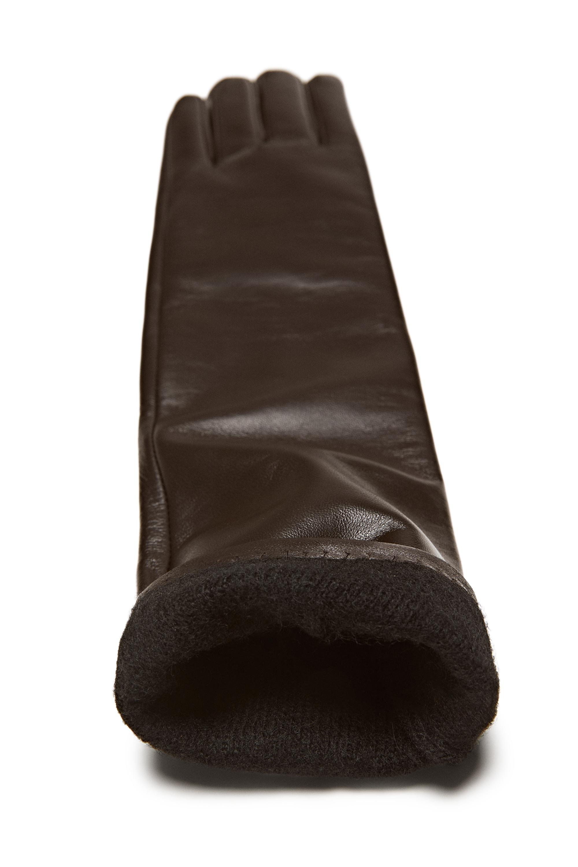 Long nappa leather gloves - LIMITED EDITION - Brown | ZARA Canada