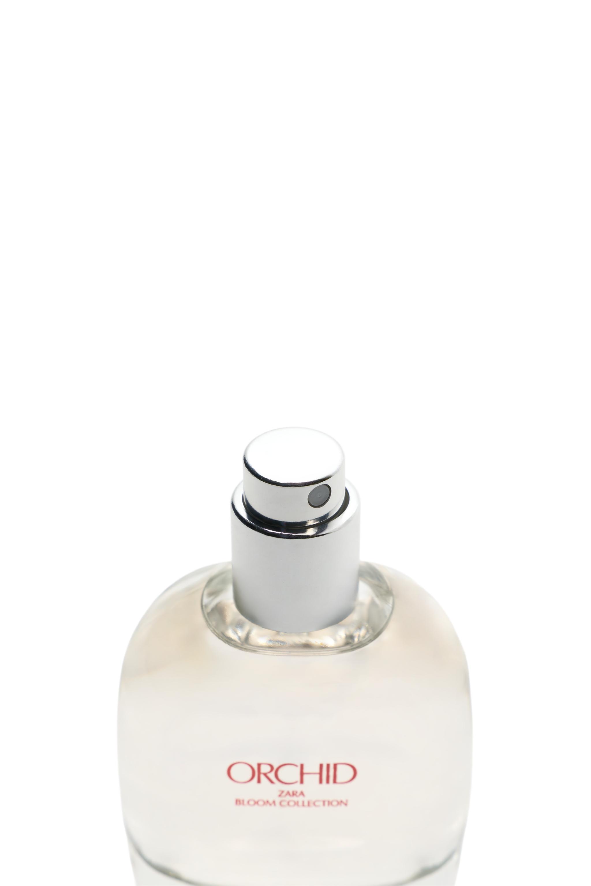 ORCHID EDP 30ML (1.01 FL. OZ) | ZARA Japan / 日本