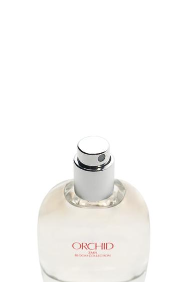 ORCHID EDP 30 ML (1.01 FL. OZ) -  de Zara - Image 3