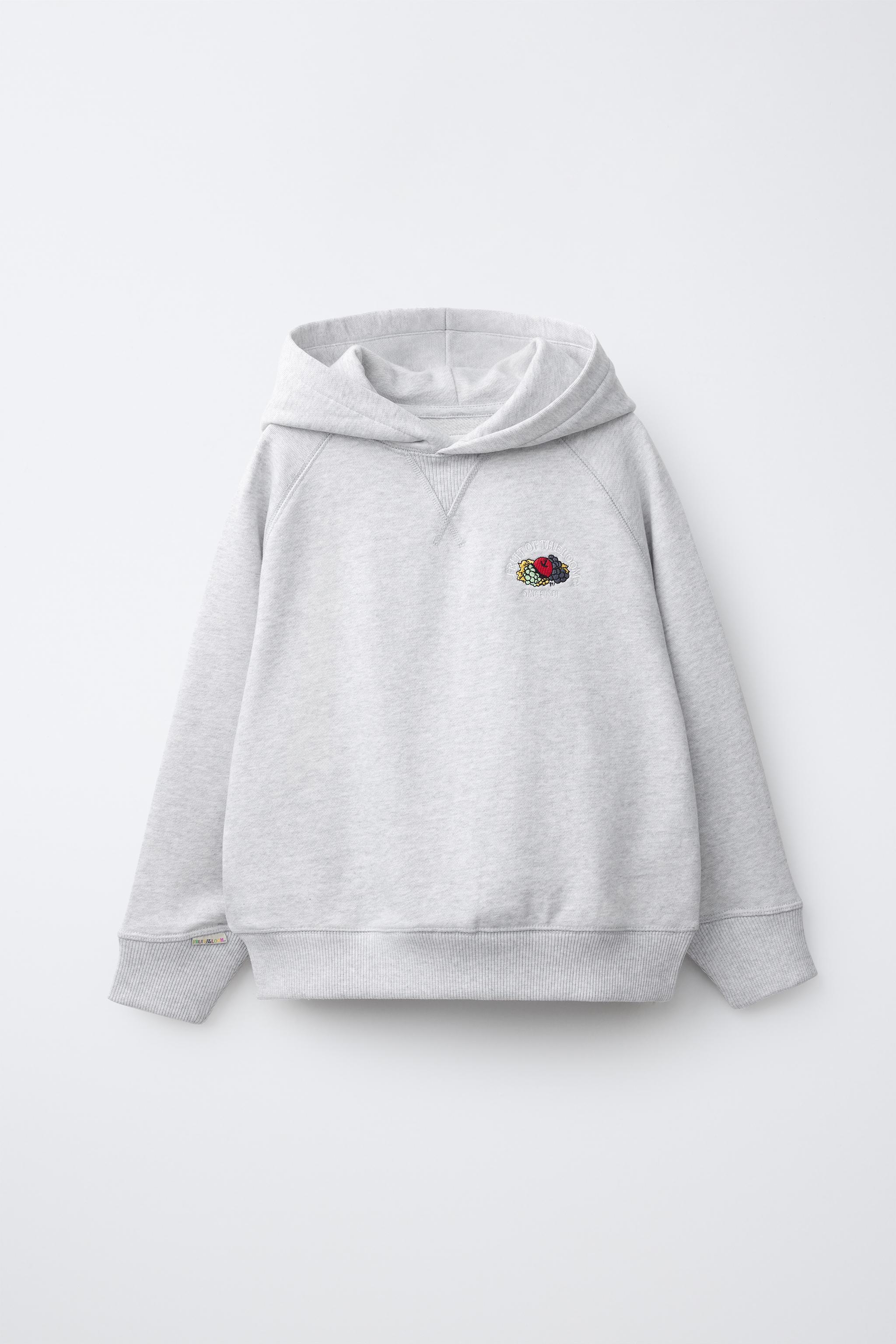 SWEAT À CAPUCHE BRODÉ FRUIT OF THE LOOM™