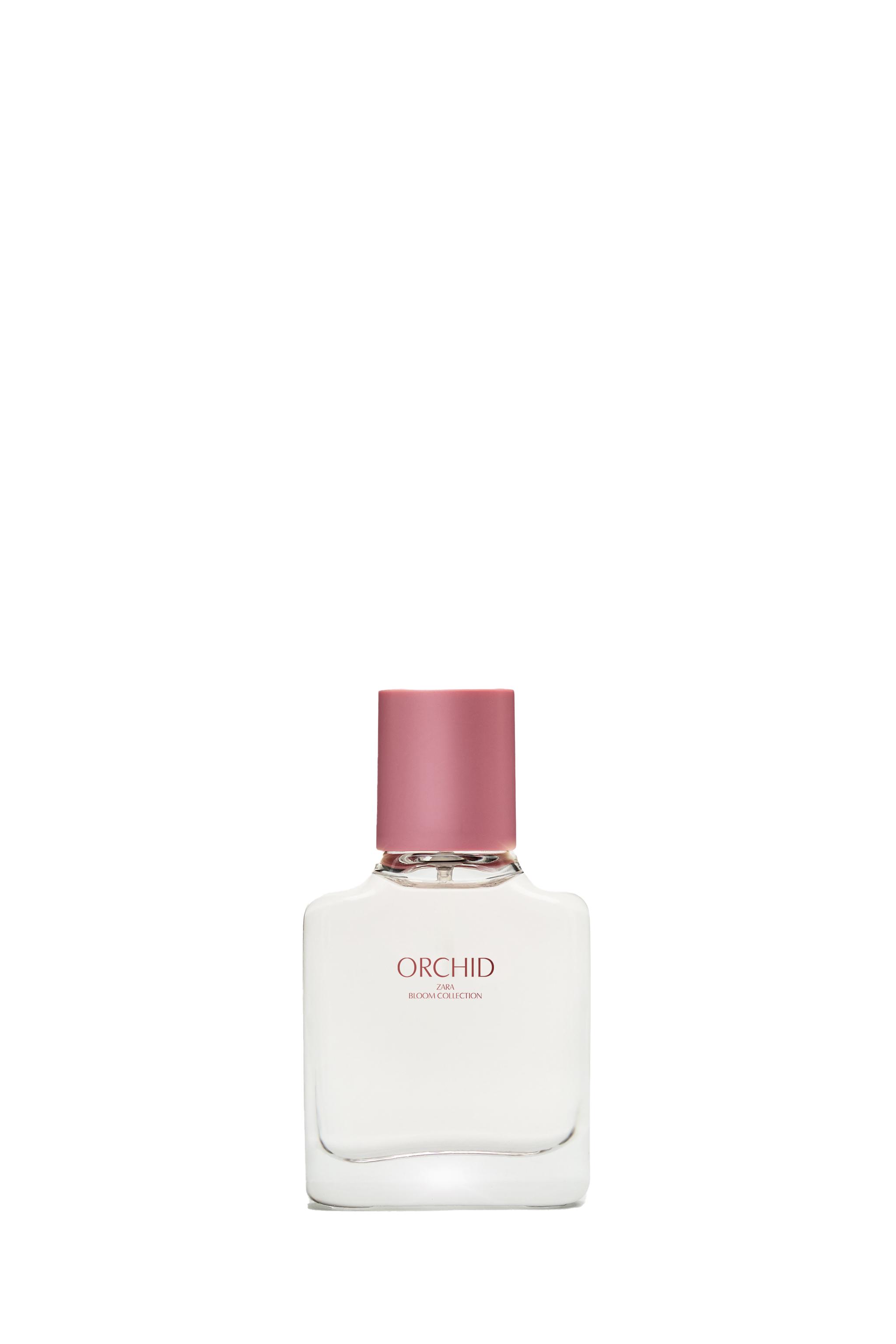 20120821999-e1.jpg?ts=