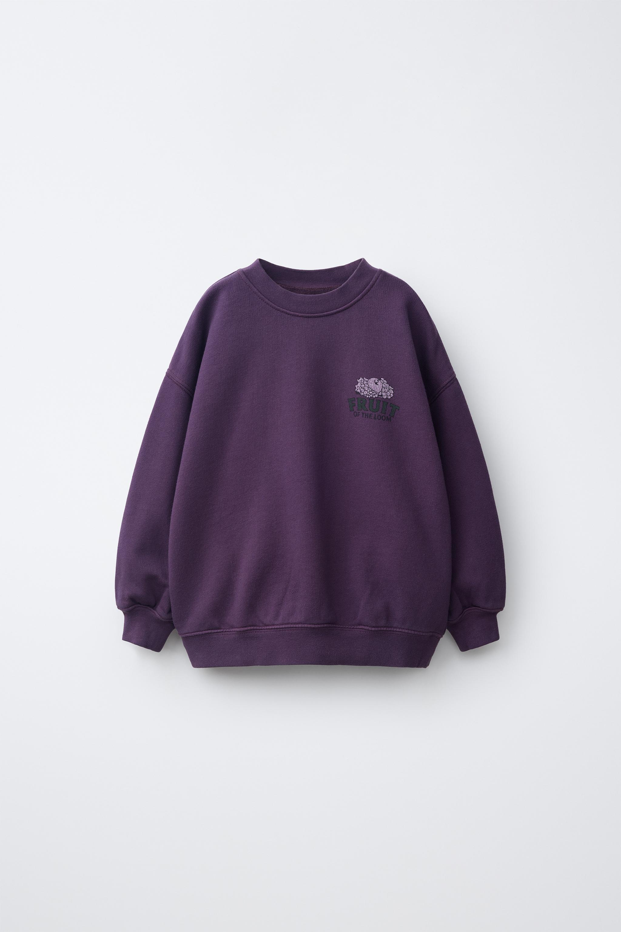 FRUIT OF THE LOOM™ PRINT SWEATSHIRT - Purple | ZARA Canada