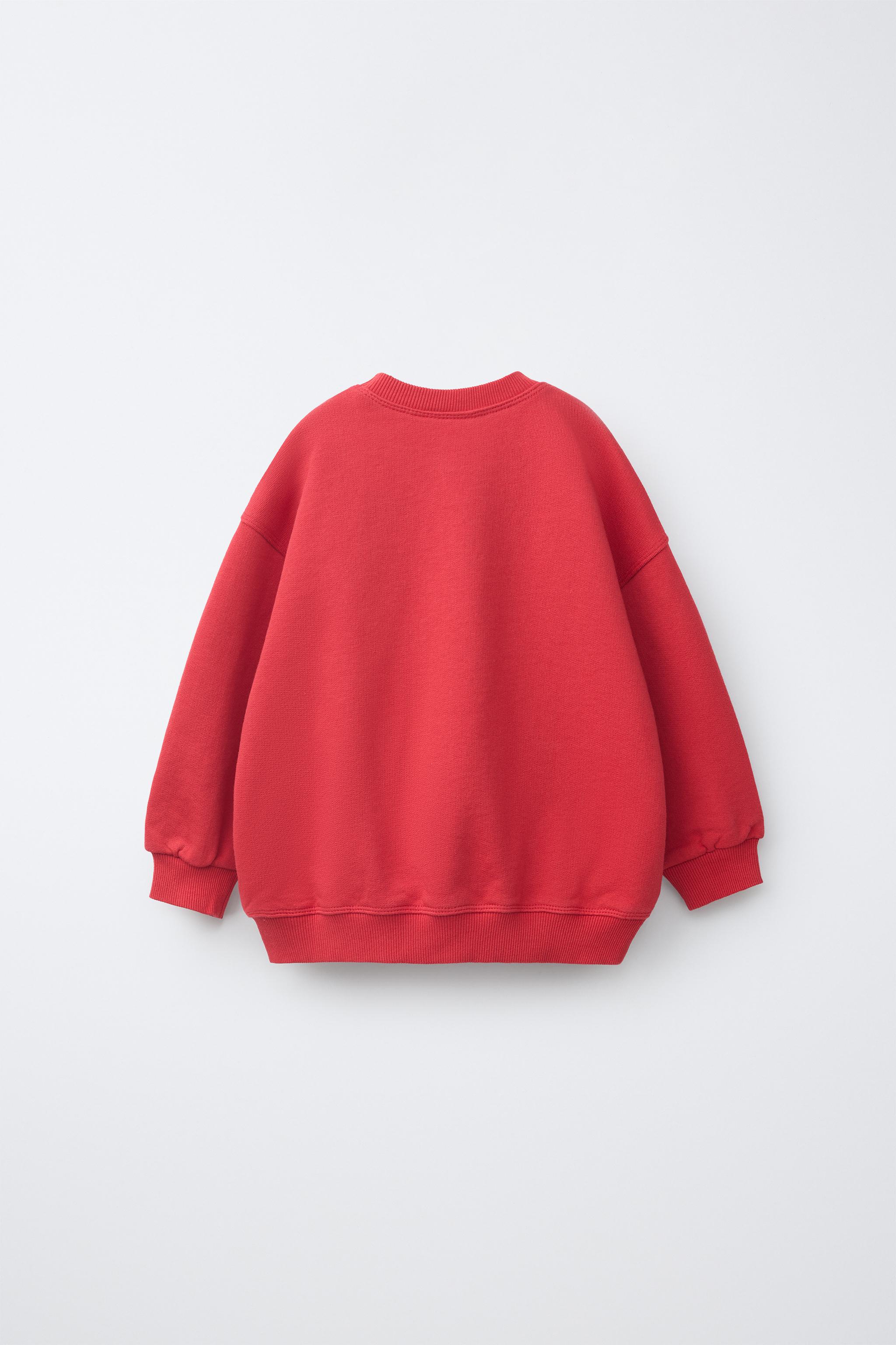 LIGHTHOUSE EMBROIDERY SWEATSHIRT - Red | ZARA United States