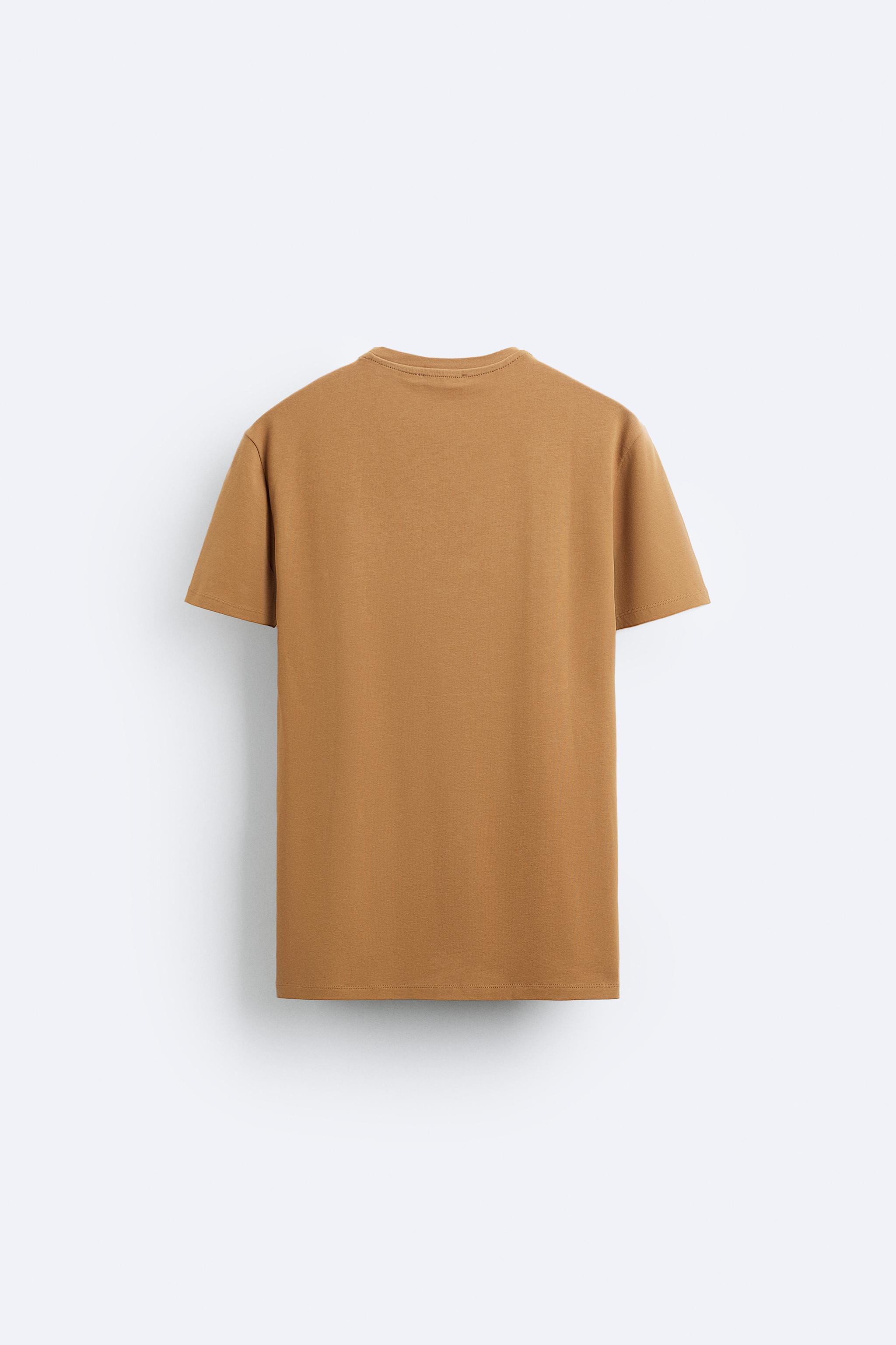 Camiseta basica 2025 zara hombre