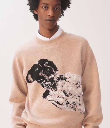 PULL ROSY LUCA GUADAGNINO - Camel moyen de Zara - Image 2