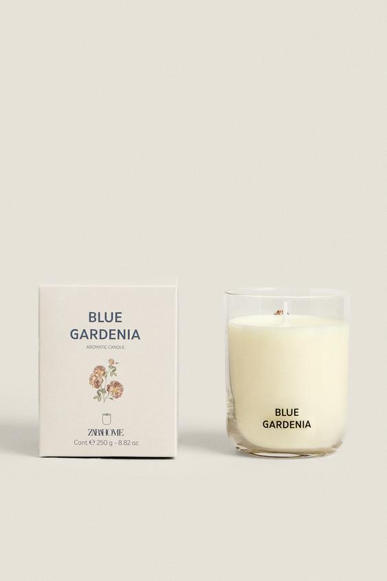 (250 G) BOUGIE PARFUMÉE BLUE GARDENIA Bleu fluo ZARA France