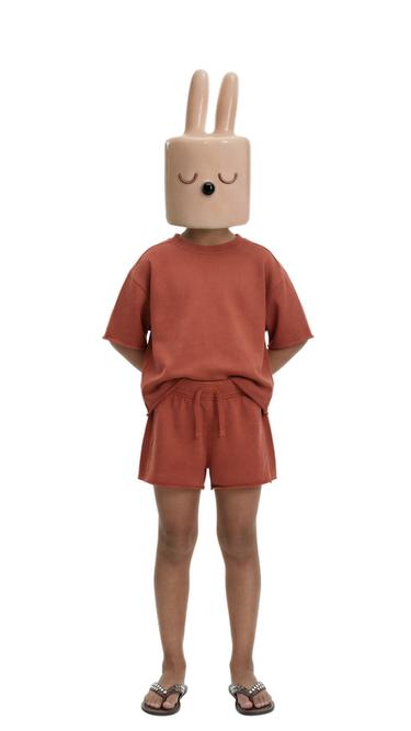 Zara 褪色慢跑 T 恤 - 赭紅色