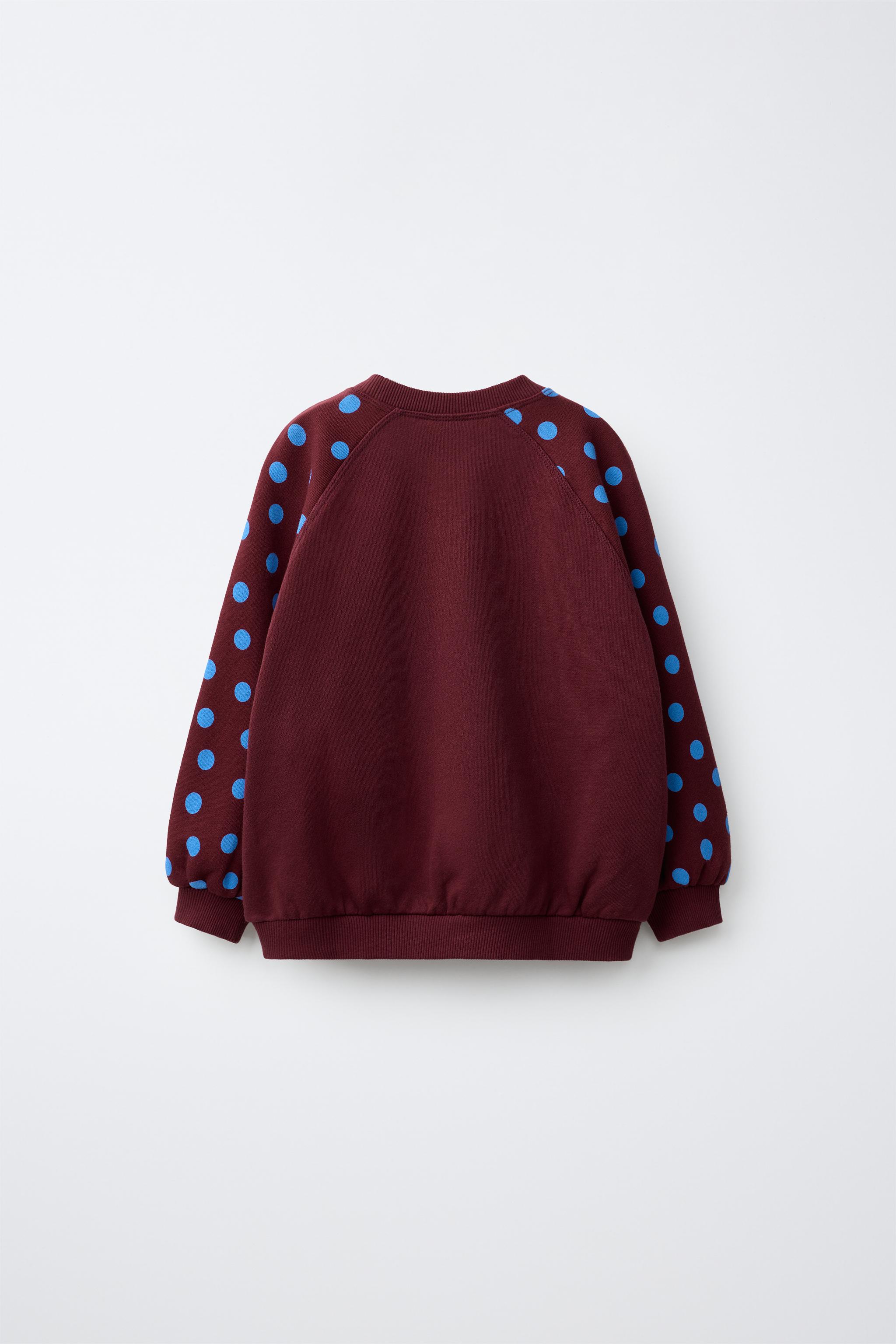 EMBROIDERED CHERRY POLKA DOT SWEATSHIRT - Burgundy | ZARA Georgia