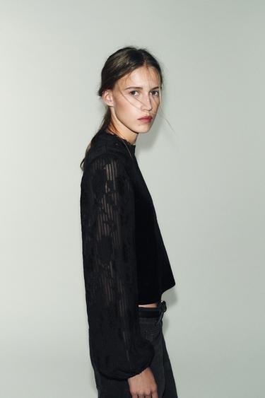 TOP EN VELOURS BRODÉ - Noir de Zara - Image 1