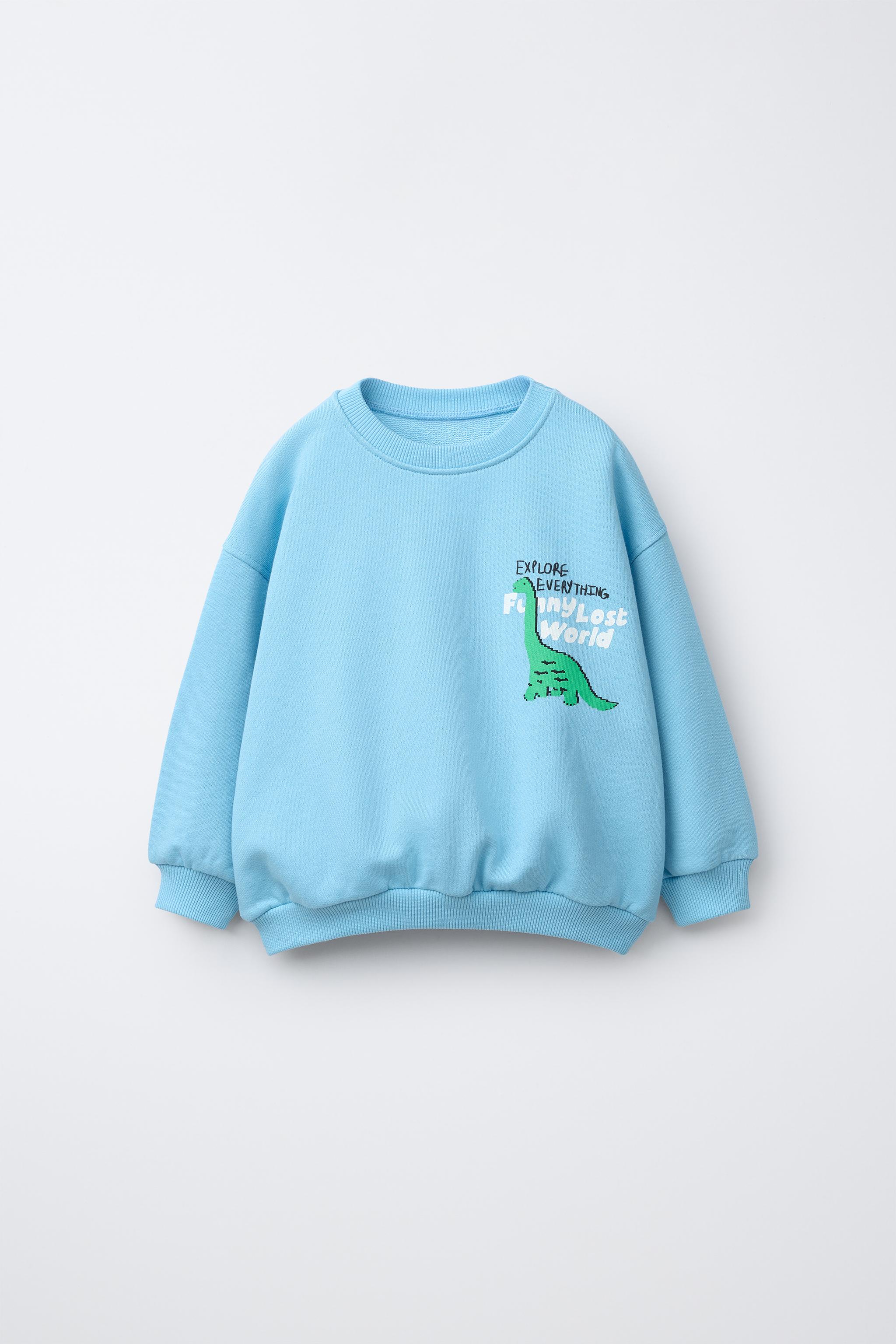 DINOSAUR PRINT SWEATSHIRT